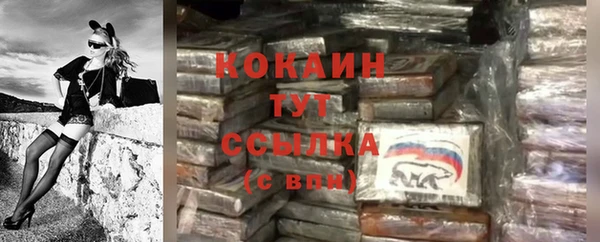 МДПВ Абаза