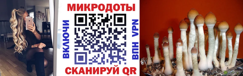 Галлюциногенные грибы Cubensis  где продают   Екатеринбург 